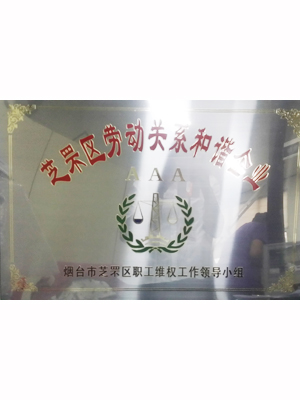 EMCC-勞動(dòng)關(guān)系和諧AAA級企業(yè)